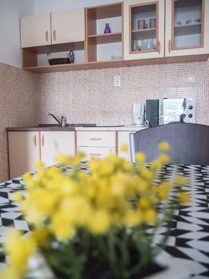 Apartments Boki 파그